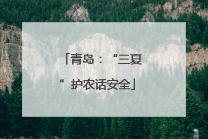 青岛：“三夏”护农话安全