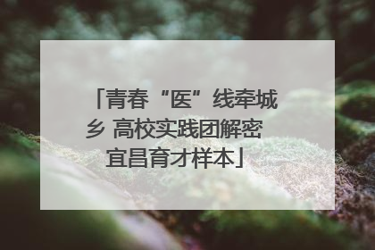 青春“医”线牵城乡 高校实践团解密宜昌育才样本