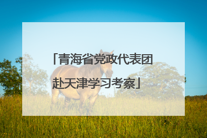 青海省党政代表团赴天津学习考察