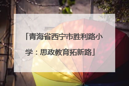 青海省西宁市胜利路小学：思政教育拓新路