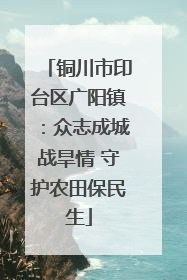 铜川市印台区广阳镇：众志成城战旱情 守护农田保民生