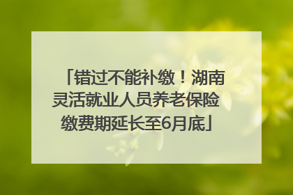 错过不能补缴！湖南灵活就业人员养老保险缴费期延长至6月底