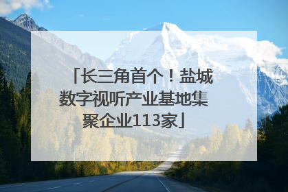 长三角首个！盐城数字视听产业基地集聚企业113家