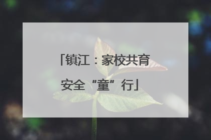 镇江：家校共育 安全“童”行