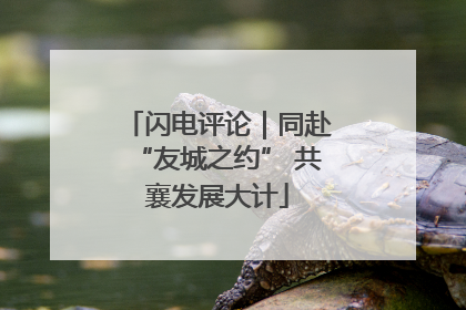 闪电评论｜同赴“友城之约” 共襄发展大计