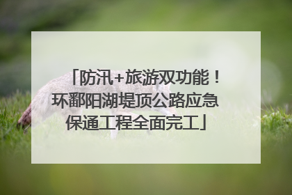 防汛+旅游双功能！环鄱阳湖堤顶公路应急保通工程全面完工