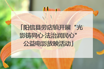 阳信县劳店镇开展“光影铸同心·法治润民心”公益电影放映活动