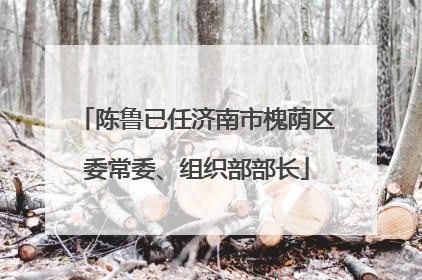 陈鲁已任济南市槐荫区委常委、组织部部长