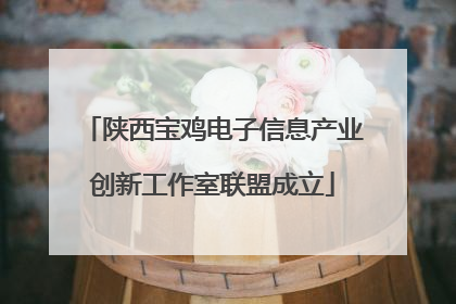 陕西宝鸡电子信息产业创新工作室联盟成立