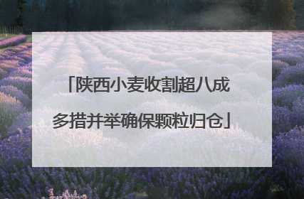 陕西小麦收割超八成 多措并举确保颗粒归仓