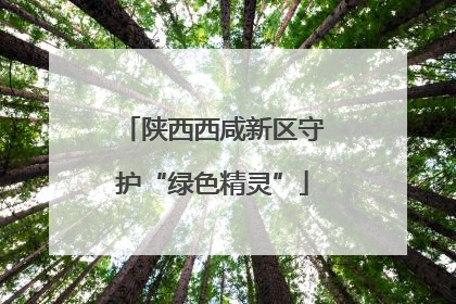 陕西西咸新区守护“绿色精灵”