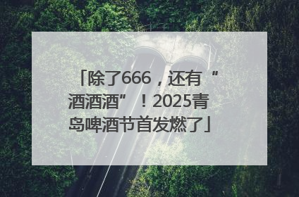 除了666，还有“酒酒酒”！2025青岛啤酒节首发燃了