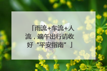 雨流+车流+人流，端午出行请收好“平安指南”