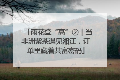 雨花登“高”②｜当非洲紫茶遇见湘江，订单里藏着共富密码