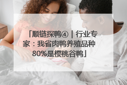 顺链探鸭④｜行业专家：我省肉鸭养殖品种80%是樱桃谷鸭