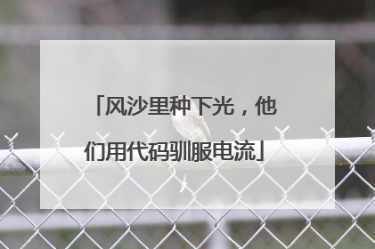 风沙里种下光，他们用代码驯服电流
