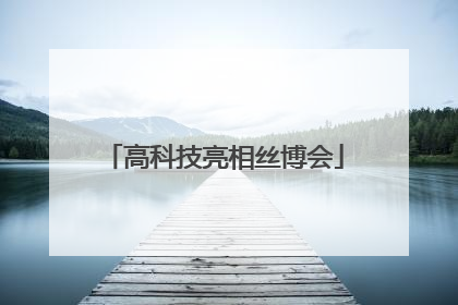 高科技亮相丝博会
