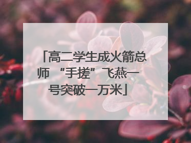 高二学生成火箭总师 “手搓”飞燕一号突破一万米