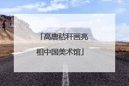 高唐秸秆画亮相中国美术馆