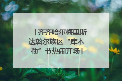 齐齐哈尔梅里斯达斡尔族区“库木勒”节热闹开场