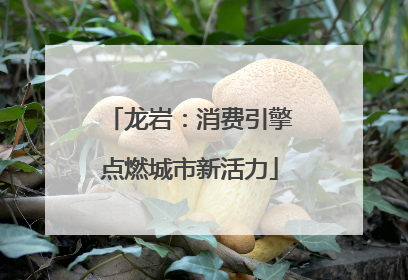 龙岩：消费引擎点燃城市新活力