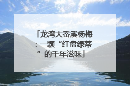 龙湾大岙溪杨梅：一颗“红盘绿蒂”的千年滋味