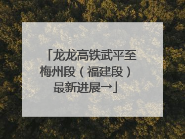 龙龙高铁武平至梅州段（福建段）最新进展→