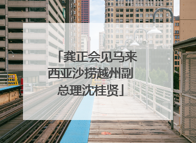 龚正会见马来西亚沙捞越州副总理沈桂贤