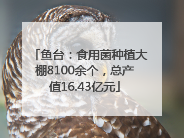 鱼台：食用菌种植大棚8100余个，总产值16.43亿元
