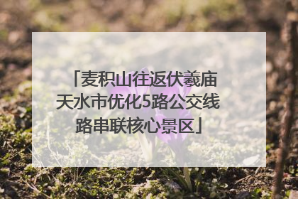 麦积山往返伏羲庙 天水市优化5路公交线路串联核心景区