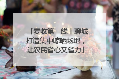 麦收第一线丨聊城打造集中晾晒场地，让农民省心又省力