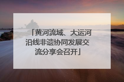 黄河流域、大运河沿线非遗协同发展交流分享会召开