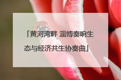 黄河湾畔 淄博奏响生态与经济共生协奏曲