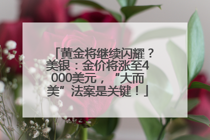 黄金将继续闪耀？美银：金价将涨至4000美元，“大而美”法案是关键！
