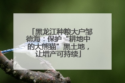 黑龙江种粮大户邹德海：保护“耕地中的大熊猫”黑土地，让增产可持续