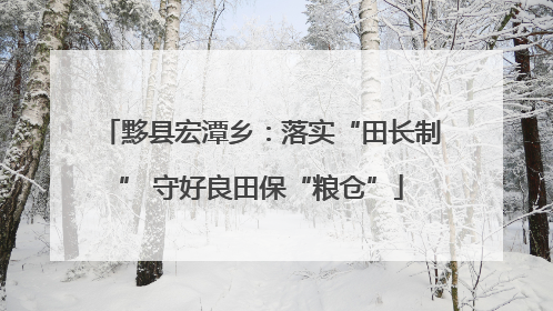 黟县宏潭乡：落实“田长制” 守好良田保“粮仓”