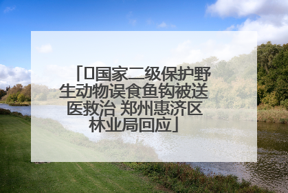 ﻿国家二级保护野生动物误食鱼钩被送医救治 郑州惠济区林业局回应