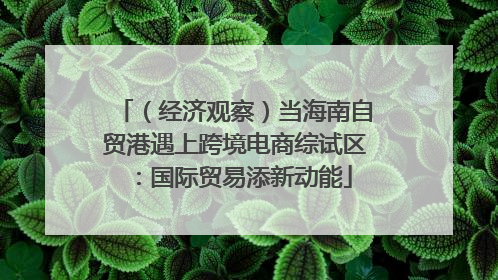 （经济观察）当海南自贸港遇上跨境电商综试区：国际贸易添新动能