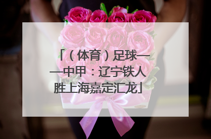 （体育）足球——中甲：辽宁铁人胜上海嘉定汇龙