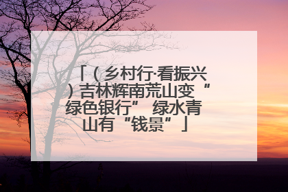 （乡村行·看振兴）吉林辉南荒山变“绿色银行” 绿水青山有“钱景”