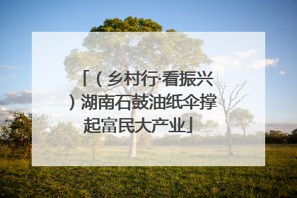 （乡村行·看振兴）湖南石鼓油纸伞撑起富民大产业