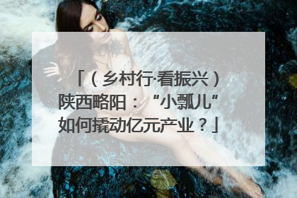 （乡村行·看振兴）陕西略阳：“小瓢儿”如何撬动亿元产业？