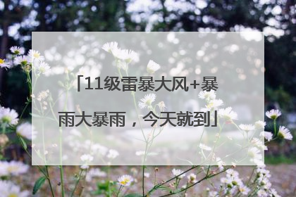 11级雷暴大风+暴雨大暴雨，今天就到