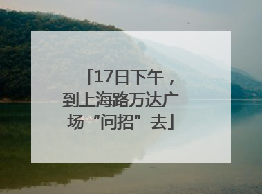 17日下午，到上海路万达广场“问招”去