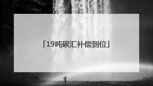 19吨碳汇补偿到位