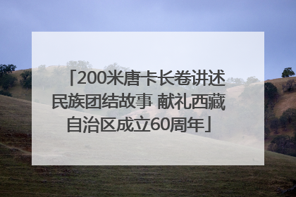 200米唐卡长卷讲述民族团结故事 献礼西藏自治区成立60周年