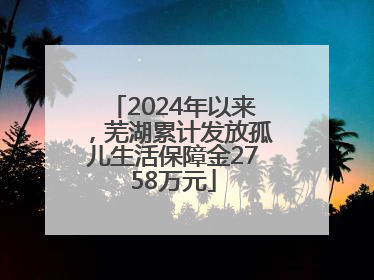 2024年以来，芜湖累计发放孤儿生活保障金2758万元