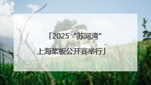 2025“苏河湾”上海桨板公开赛举行
