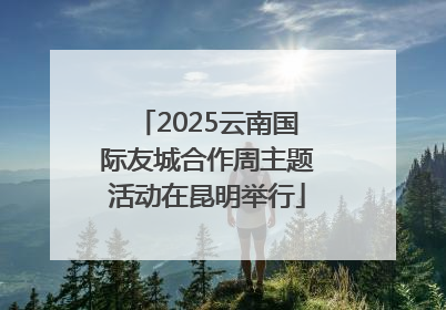 2025云南国际友城合作周主题活动在昆明举行