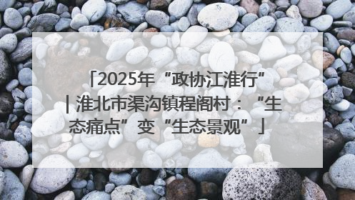 2025年“政协江淮行”｜淮北市渠沟镇程阁村：“生态痛点”变“生态景观”